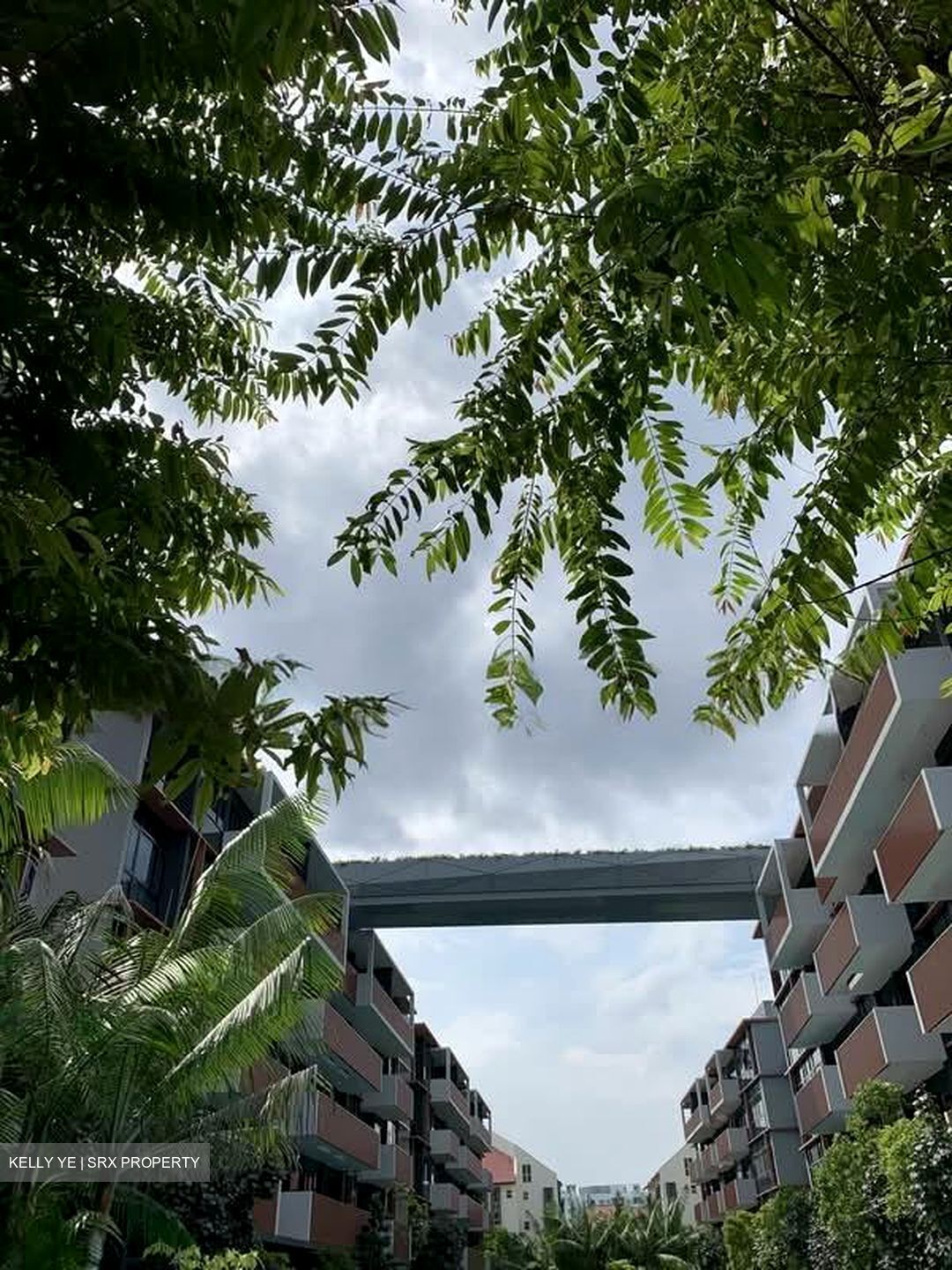 Royalgreen (D10), Condominium #562630281
